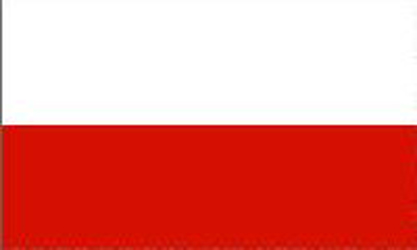 Bordsflagga Polen (stor)